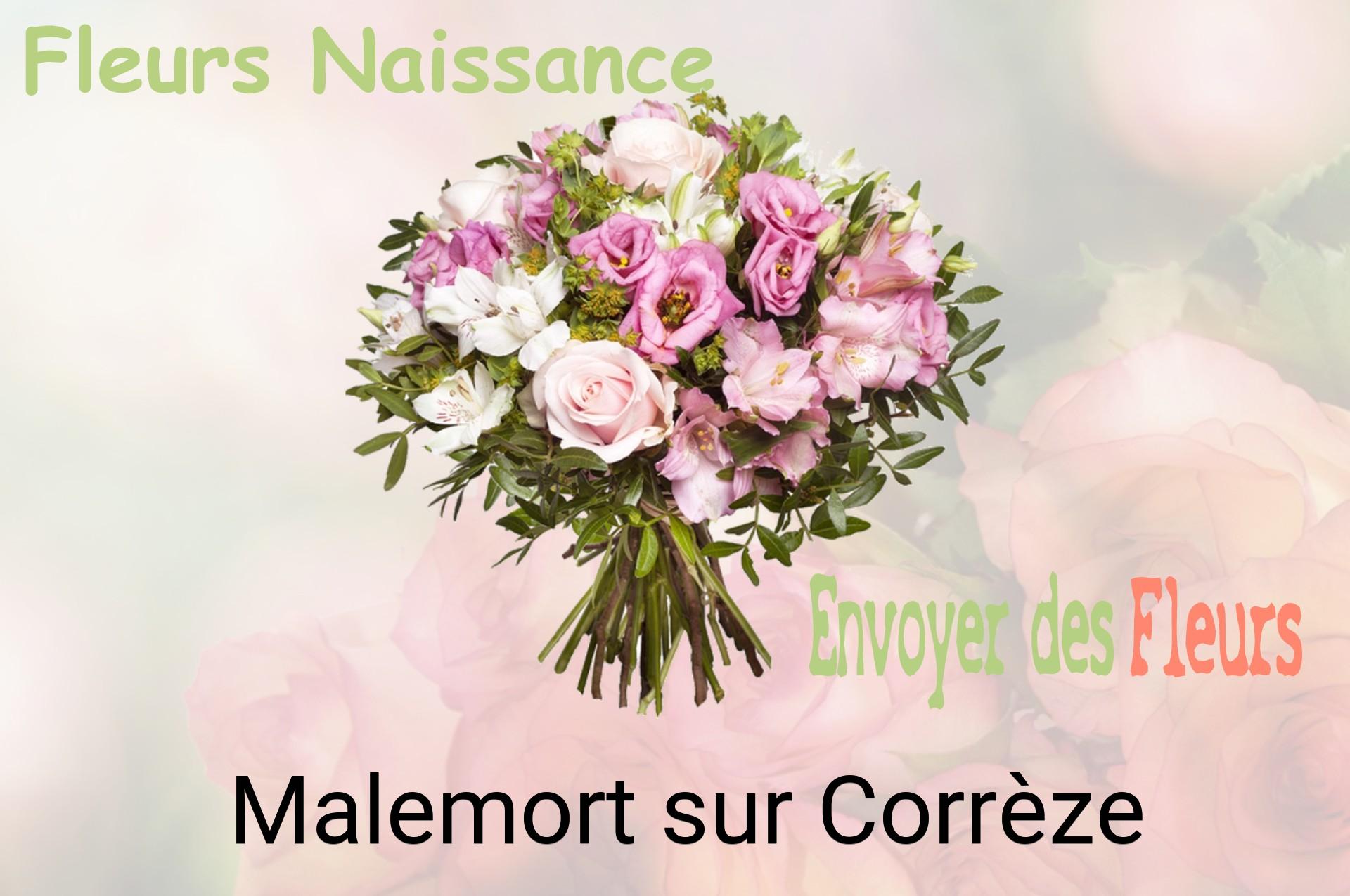 Bouquet de fleurs de naissance livré à Malemort-sur-Corrèze